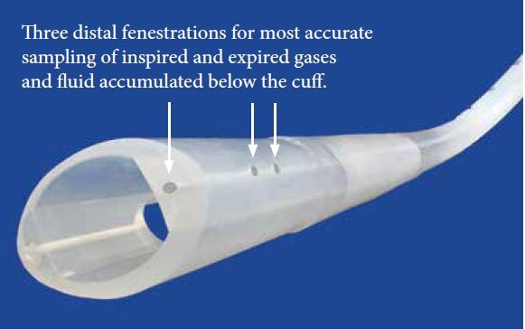 Tubos endotraqueales de silicona para grandes animales con puerto de muestra en el extremo distal